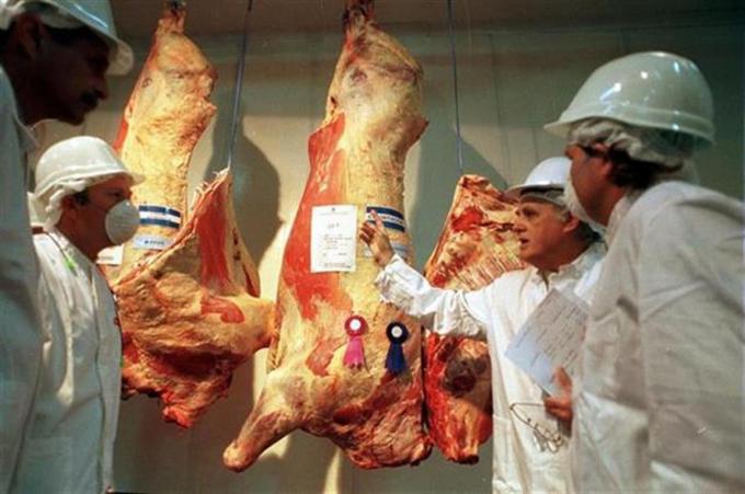 Avanza la apertura de Japón para la carne vacuna argentina