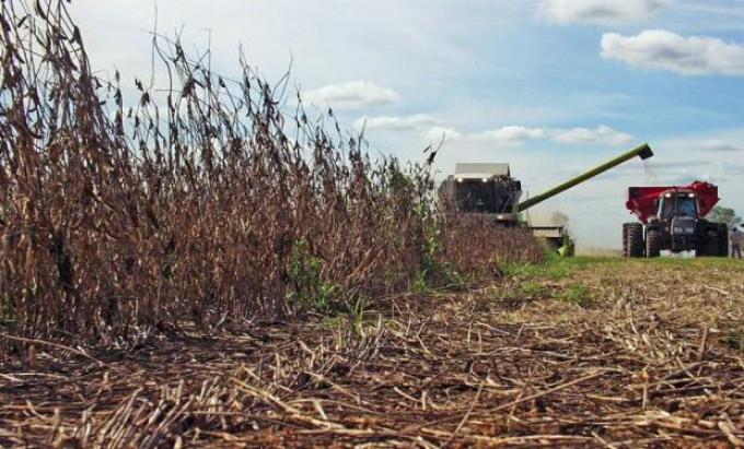 Por la inflación y la baja de precios, se deterioró el poder de compra de los productores del campo