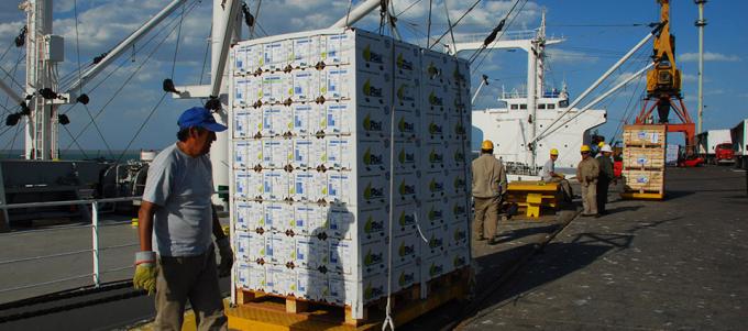 En lo que va del año cayeron las ventas externas y crecieron las importaciones de fruta y verdura