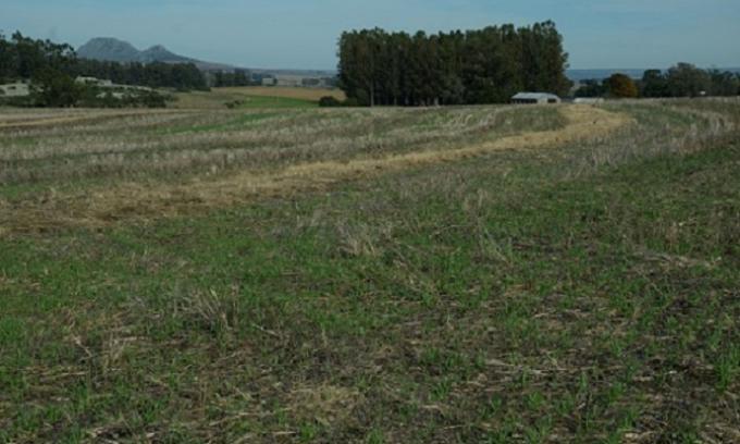 El INTA Balcarce creó una unidad especial de investigación en producción agroecológica