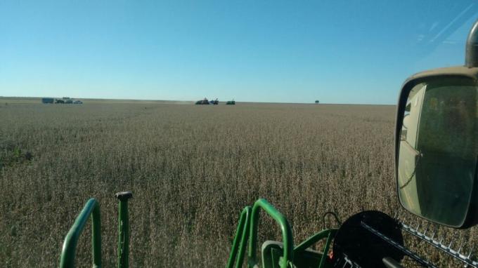 Productores del norte que hayan vendido soja en mayo podrán cobrar una compensación de 281 $/tonelada: permite cubrir el 35% del flete desde Mercedes a Rosario