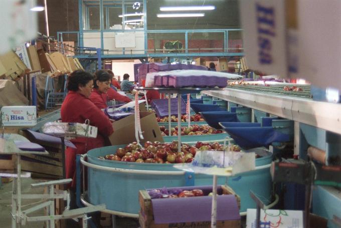 Economías regionales: afirman que tienen un problema de costos antes que de precios