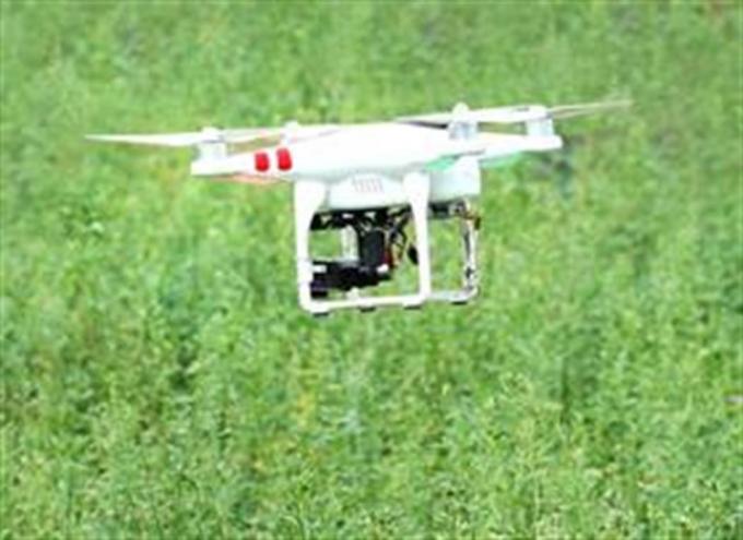 Cuáles son los nuevos puestos de trabajo que demanda el agro