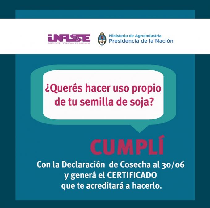 Este año el Inase evaluará la situación de los medianos productores para verificar el origen legal de la semilla de soja