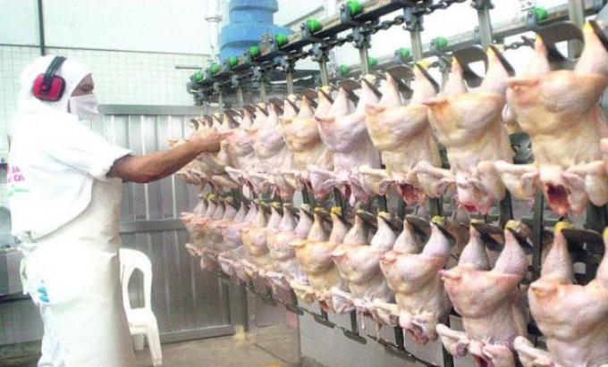 Carne: más producción acelera la necesidad de crecer en envíos