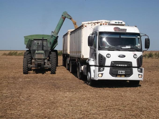Pese a la mayor cosecha, transportistas de cereales advierten que trabajan un 30% menos que hace un año
