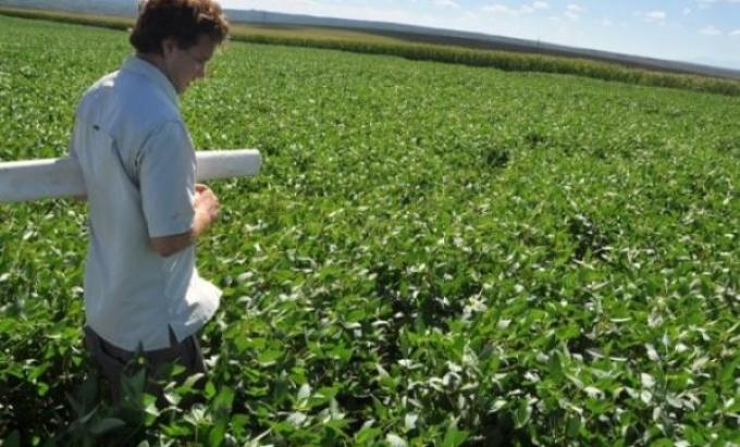"La clave para el manejo de plagas es el monitoreo"