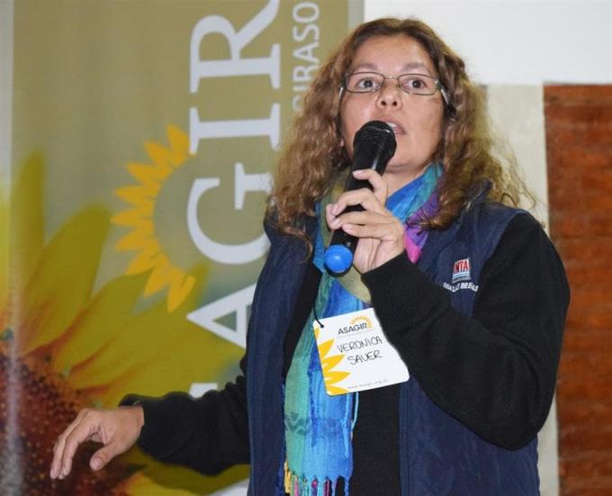 Lo que hay que saber para planificar la próxima campaña de girasol