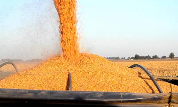 Quiere debatir la OMC el fin de subsidios agrícolas
