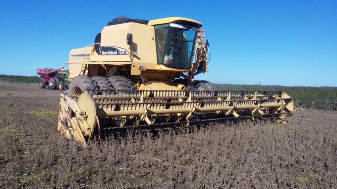 Productores del norte que hayan vendido soja en junio podrán cobrar una compensación de 283 $/tonelada: permite cubrir el 25% del flete desde Las Lajitas a Rosario