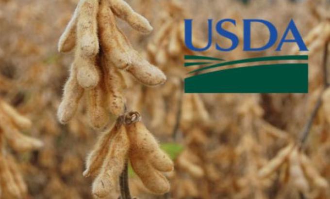 Habrá más soja que la esperada en Estados Unidos