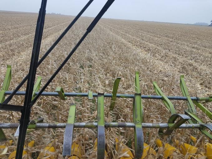 Márgenes proyectados 2017/18: el maíz temprano es por lejos el cultivo menos competitivo