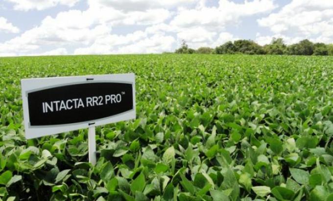 Nuevo capítulo en el conflicto de la Unión Agrícola de Avellaneda con Monsanto