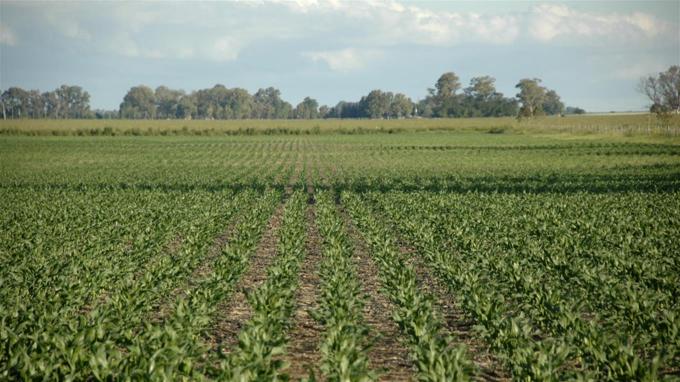 Macri lanza un plan para el campo al estilo Vaca Muerta