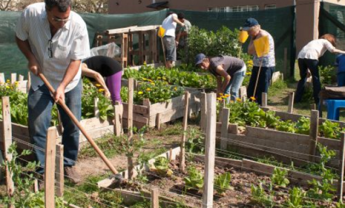Convocan a gobiernos locales santafesinos a sumarse a la Red de Viveros