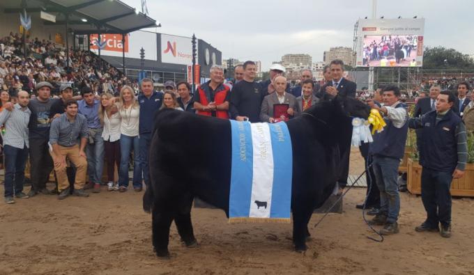Cómo se alimentan los campeones