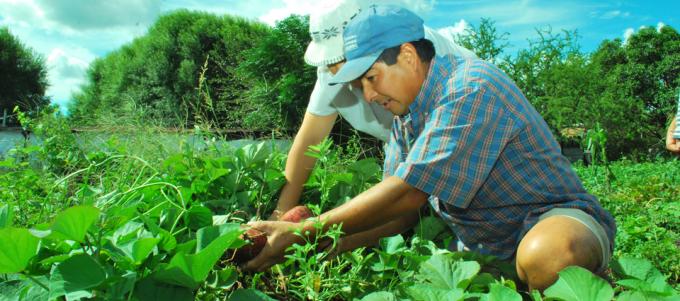 Analizan compartir una agregaduría agrícola en Asia con Brasil para fortalecer mercados