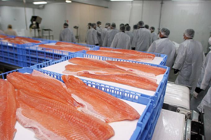 En el primer semestre las exportaciones chilenas de salmón superaron en 275% a las colocaciones argentinas de carne vacuna