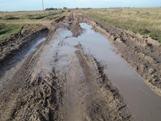 Por la falta de caminos generada por las inundaciones se realizaron 92.000 fletes menos de granos gruesos a Rosario