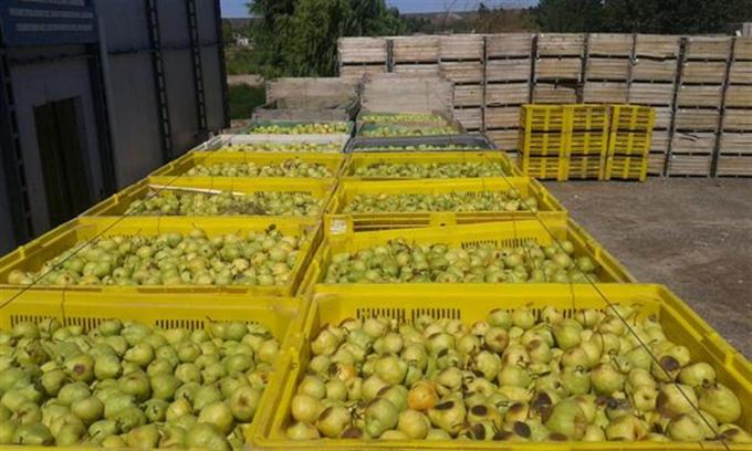 Economías regionales: los costos laborales subieron mucho más que los precios de sus productos