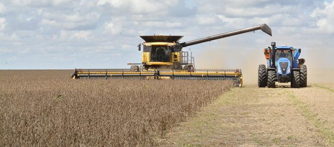 $6.387,71 es el precio promedio de agosto del pago a productores de soja del Plan Belgrano