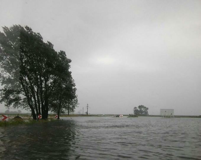 Inundaciones: se oficializó la emergencia agropecuaria para zonas productivas de Buenos Aires y La Pampa