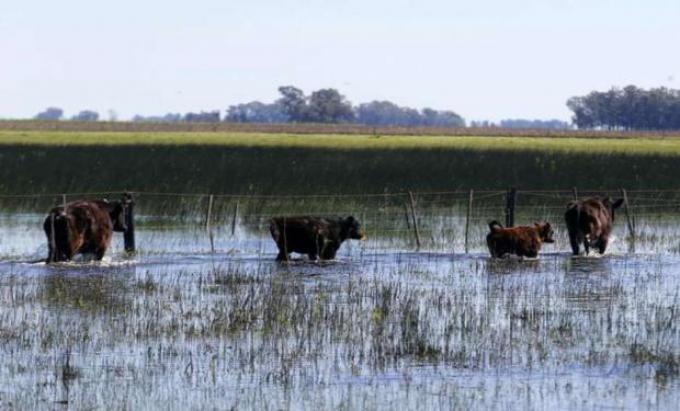 Buenos Aires: apenas diez de los cincuenta departamentos afectados por inundaciones fueron reconocidos en emergencia por el gobierno nacional