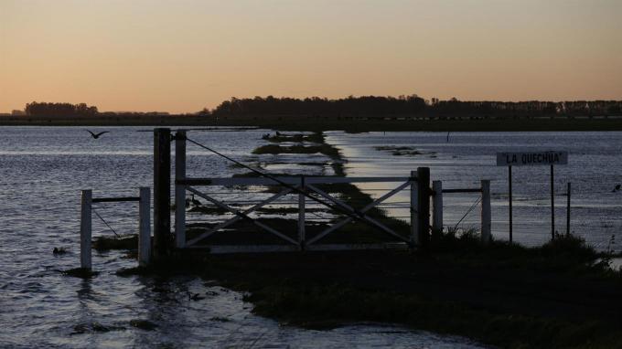 Las inundaciones ya afectan 10 millones de hectáreas del área productiva