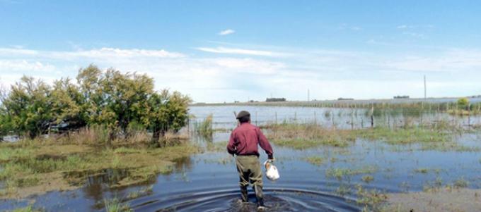 Apuran una ley de seguros por las pérdidas climáticas para el campo