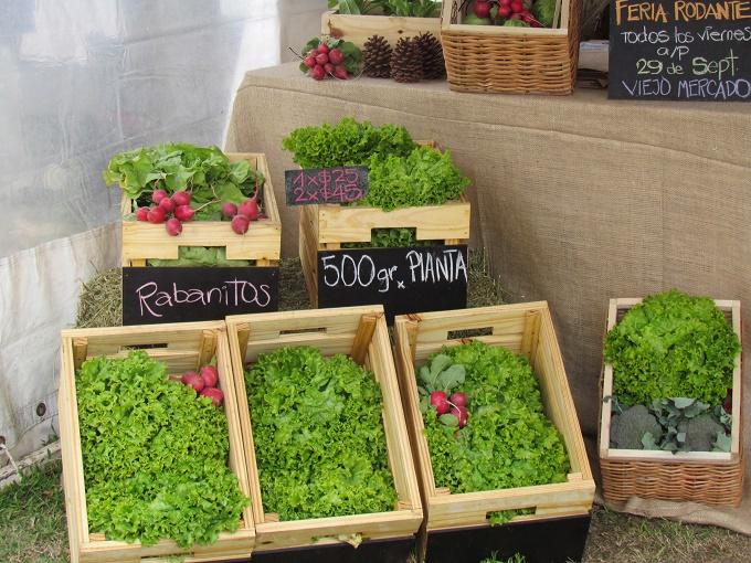 Huerta Sustentable: rescatan a familias de la “calle” y les enseñan a trabajar en el campo