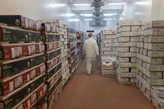 Qué participación tuvo el campo en las exportaciones totales de los primeros siete meses del año