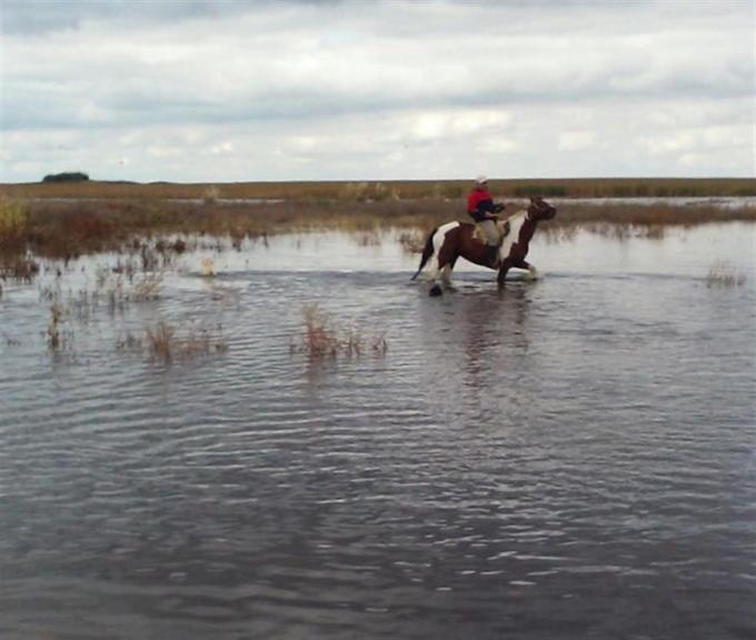 Córdoba: piden acelerar una obra para inundaciones en el sur provincial