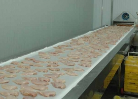 Aprobaron los procedimientos y la Argentina comenzará a exportar carne aviar a Canadá