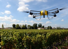 Por qué hay que desarrollar robots para la agricultura