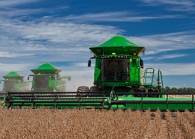 El USDA mantuvo la estimación de producción de soja pero redujo los stocks