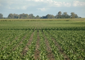 Polémica por la venta de un campo del Ejército