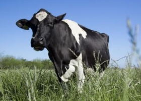 Destacan un importante avance para los productores tamberos santafesinos