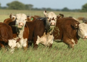 En 2018 habrá datos agropecuarios