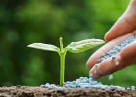 Estiman que, con la quita de retenciones, crecerá el uso de fertilizantes