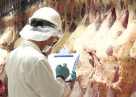 Prevén que crezcan 25% las exportaciones de carne bovina en 2018