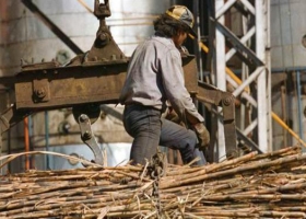 Alarma en los azucareros por una baja del 29% en el precio del bioetanol de caña