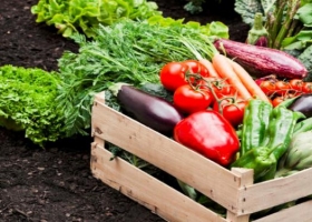 Se reglamentó el uso del Sello "Producido por la Agricultura Familiar"