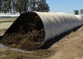 Henolaje de alfalfa: guía para lograr un alimento de calidad