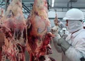 EE.UU. podría abrirse a la carne vacuna argentina antes de fin de año