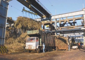 Hablando se entiende la gente: Aranguren desactivó la intervención del mercado del etanol