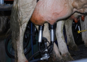 Macri volverá a recibir a la Mesa de la Leche a comienzos de febrero