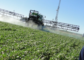 Malezas resistentes: se profundiza la caída de las importaciones de glifosato por un menor uso interno del herbicida