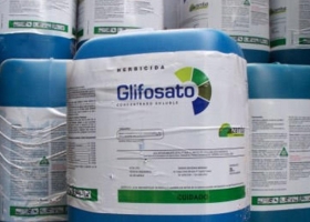 Para la BCR el uso adecuado de glifosato “no afecta la salud de las personas”