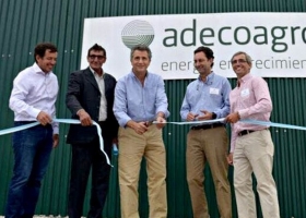 Dos tambos de 7000 vacas generan energía eléctrica con sus residuos