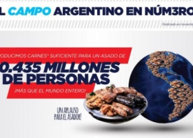 El campo argentino en números: ¿Qué nos aporta la producción?